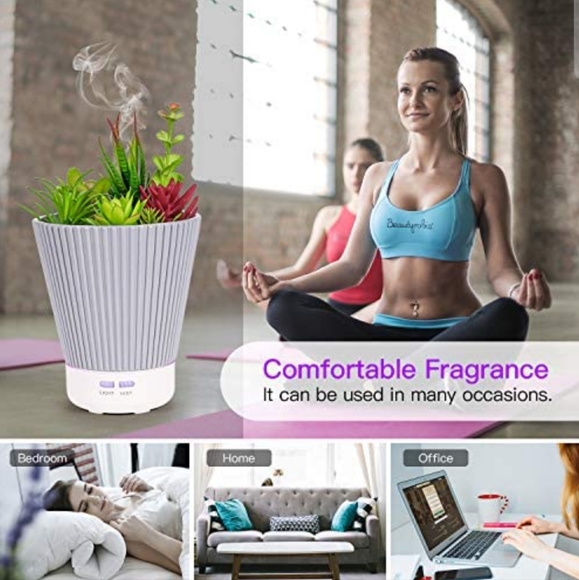 Succulent Diffuser and essential oil set - Picture 5 of 11